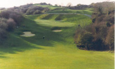 Esker Hills Golf Club - 4th hole approach