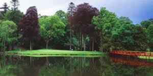 O'Meara Couse at Carton House